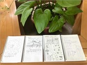 “Khi văn học điểm tô bằng màu sắc” 